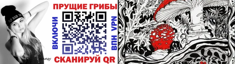купить  сайты  Волжский  Псилоцибиновые грибы мухоморы 